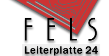 FELS Leiterplatte 24